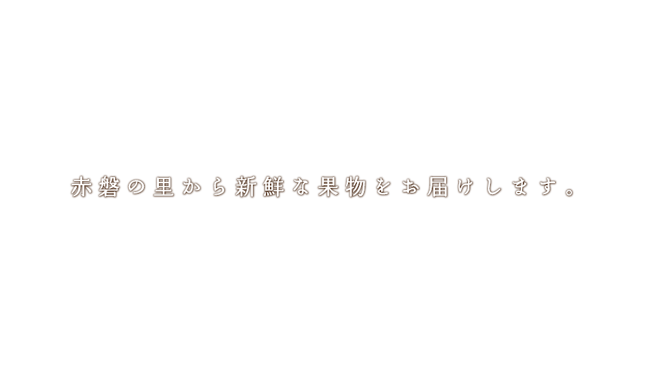 SEITSUファームス イメージ画像1