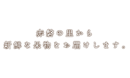 SEITSUファームス イメージ画像1